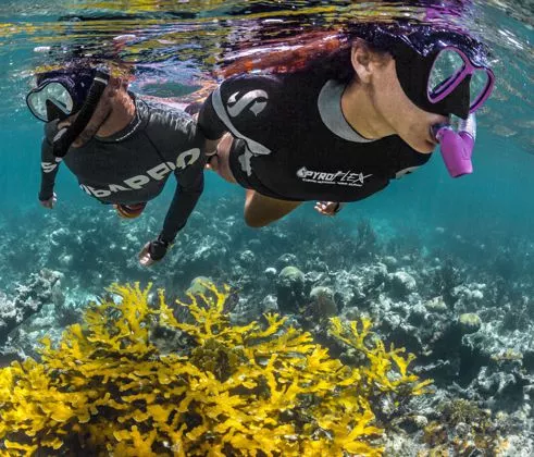 2 Supporto Per Boccaglio In Silicone Regolatore Per SCUBA Cinghie Di - Foto 7